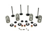 Valve & Spring Engine Kit. Fits Twin Cam 2005-2017