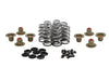 0.640in. Valve Spring Kit. Fits Milwaukee-Eight 2017up