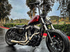 2-into-1 Cutback Exhaust - Stainless Steel with Black End Cap. Fits Sportster 2014-2021